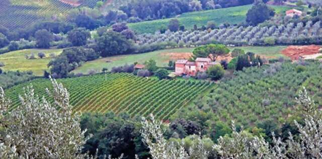 10 Italian Highlights