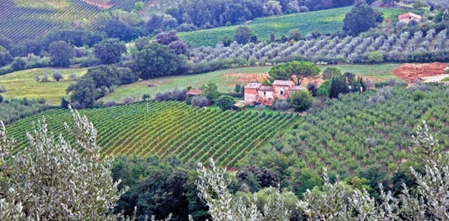 10 Italian Highlights