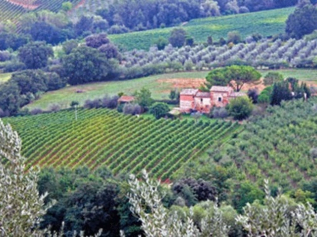 10 Italian Highlights