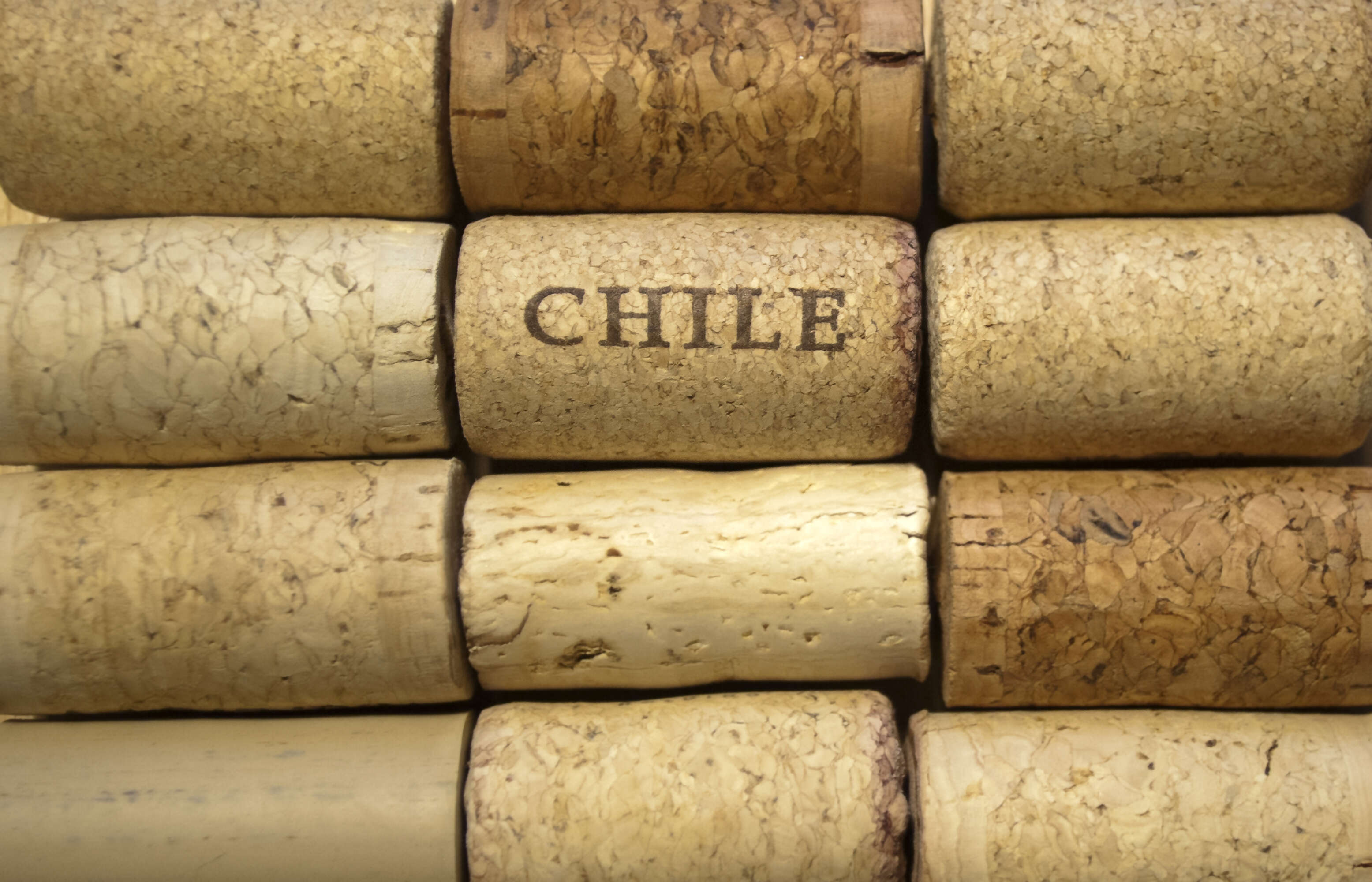Explore Chile's Wine Country