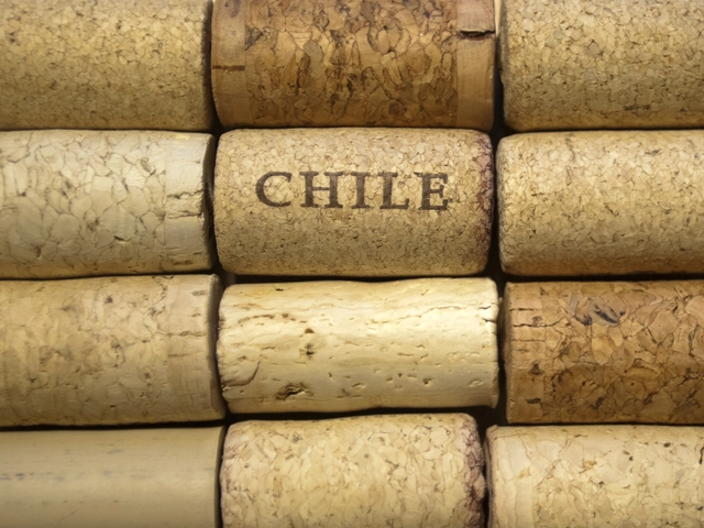 Explore Chile's Wine Country