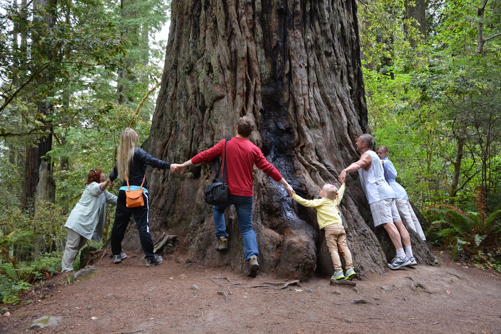 10 interesting facts about Palo Alto