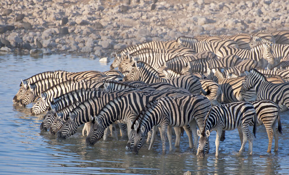 5 things you need to know about Namibia