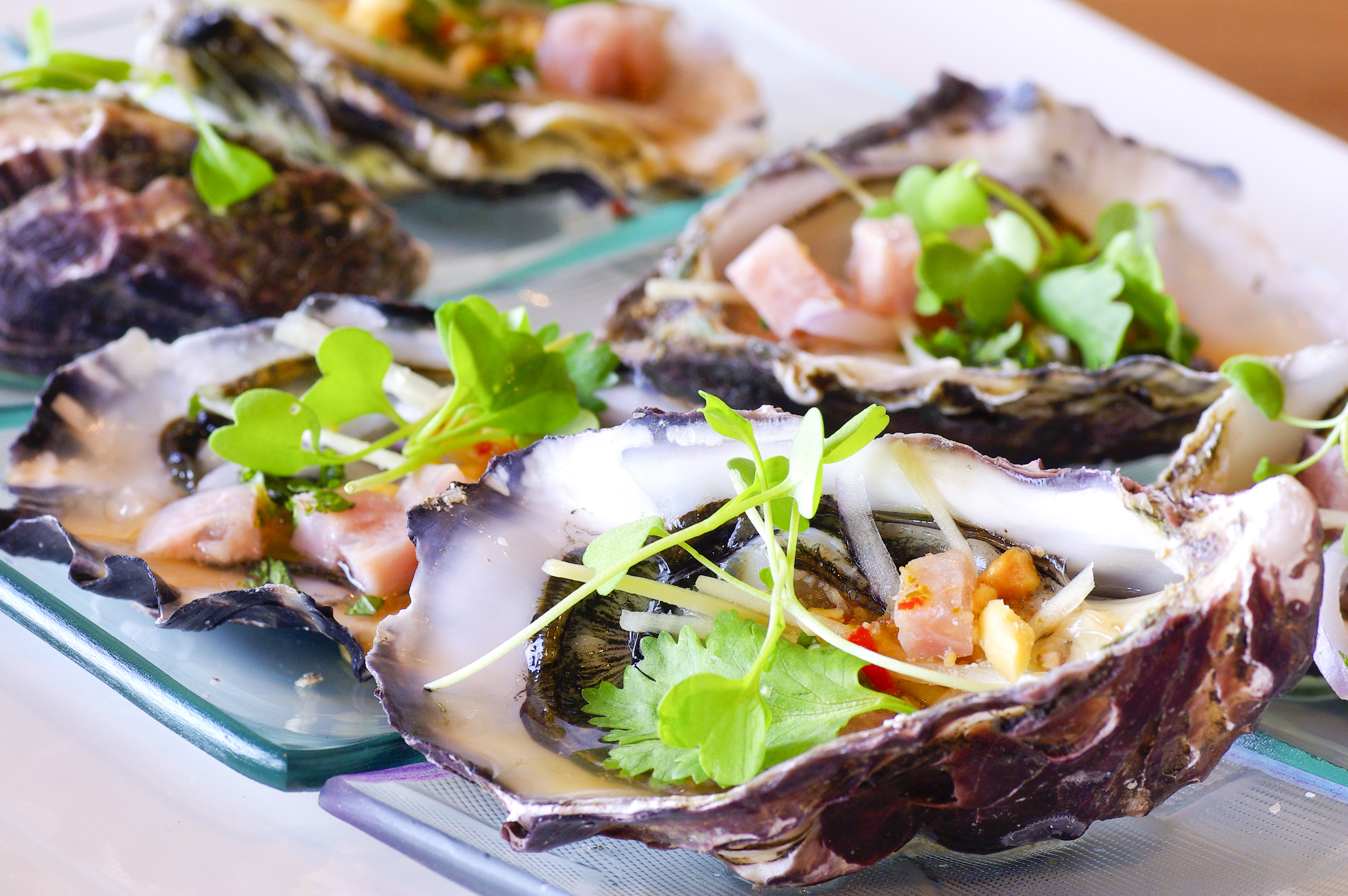 Where to get the best Oysters in Toronto