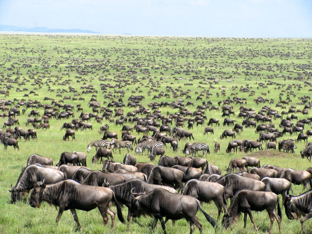 10 things you need to know before you travel to East Africa