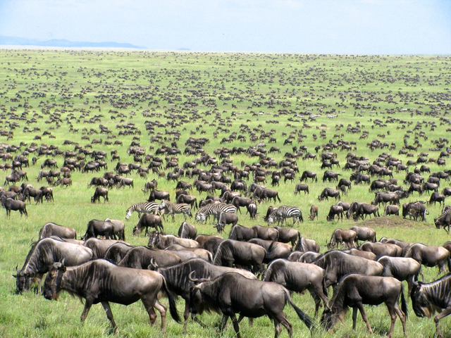 10 things you need to know before you travel to East Africa