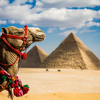 Top 5 Adventure Destinations in Egypt