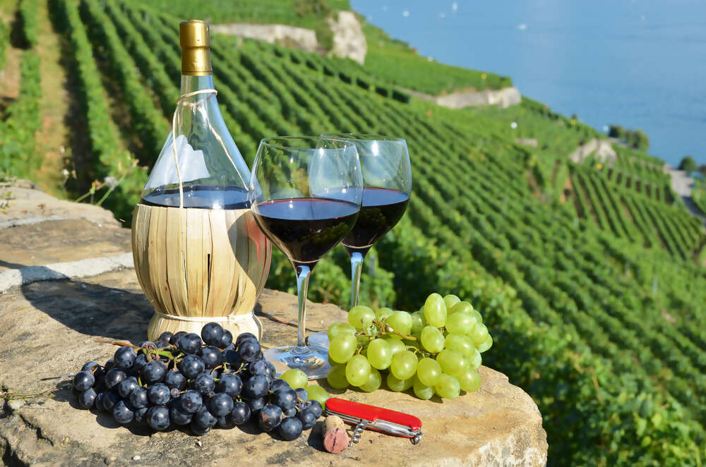 5 must visit wineries in Tuscany