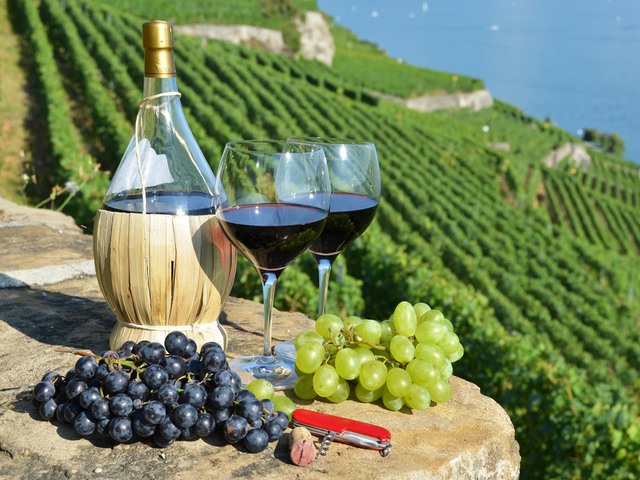 5 must visit wineries in Tuscany