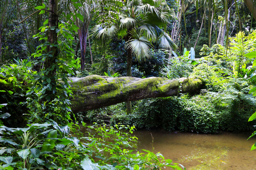 Discovery Coast Atlantic Forest Reserves you gotta go here
