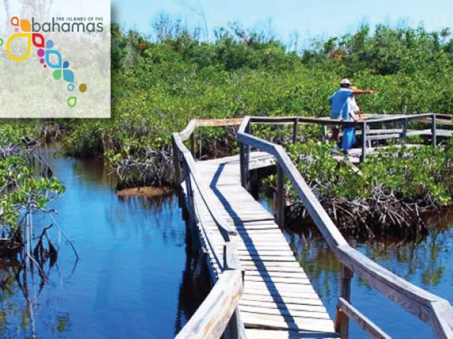 Ecotourism In The Bahamas