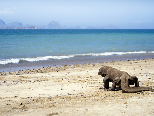 Komodo National Park