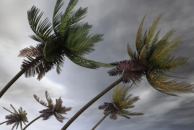 Avoid Travel Disruption during a Hurricane