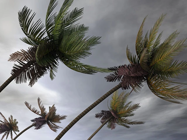Avoid Travel Disruption during a Hurricane