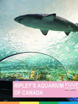 RIPLEY'S AQUARIUM OF CANADA