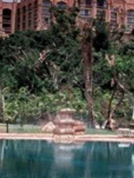 African Fairways Eagle Experience