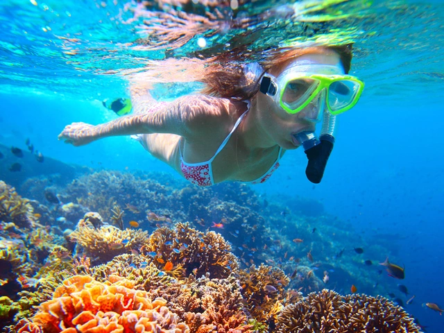 Paradisus Princesa Del Mar