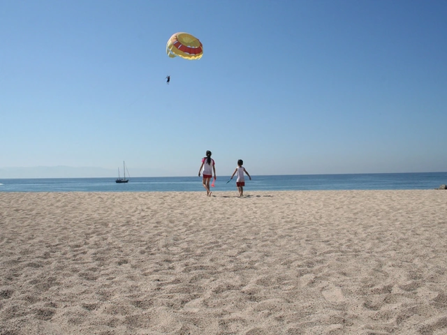 Melia Puerto Vallarta Resort