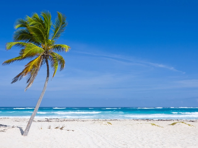 Barcelo Bavaro Palace Resort