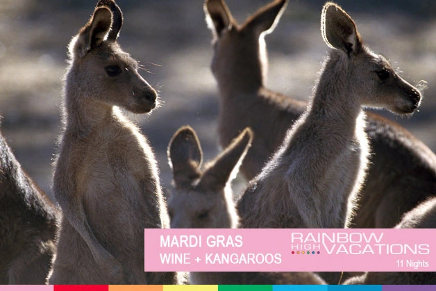 MARDI GRAS - WINE + ROOS