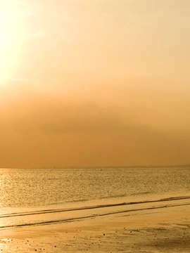 Fort Myers Beach & Sanibel
