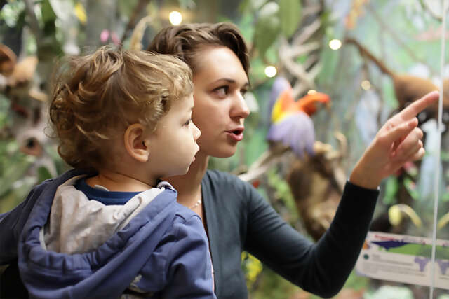Family friendly museums & galleries in Britain