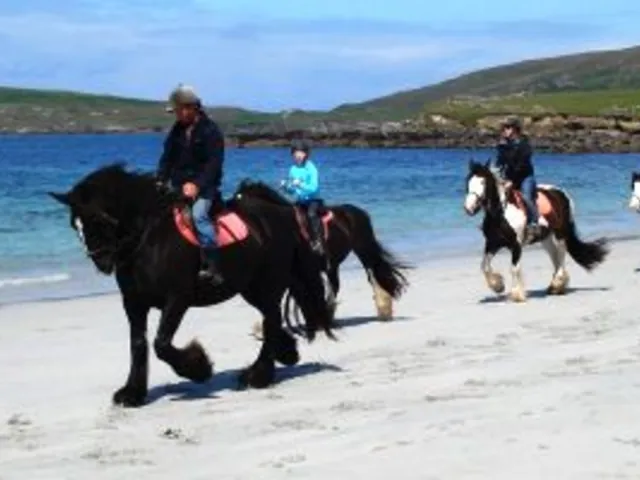 Authentic Irish experiences -  immersed in the ‘Craic’!