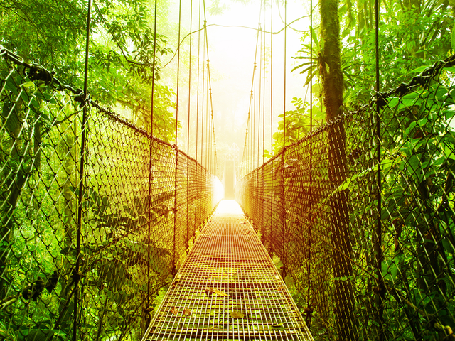 Villa Blanca Cloud Forest Resort in Costa Rica