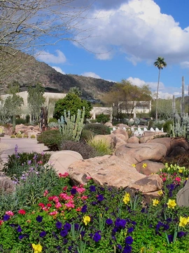 JW Marriott Scottsdale Camelback Inn Resort & Spa