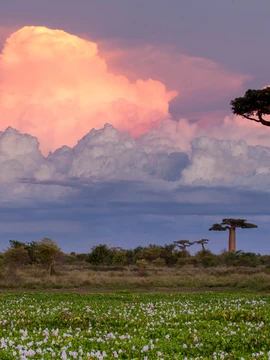 South Africa