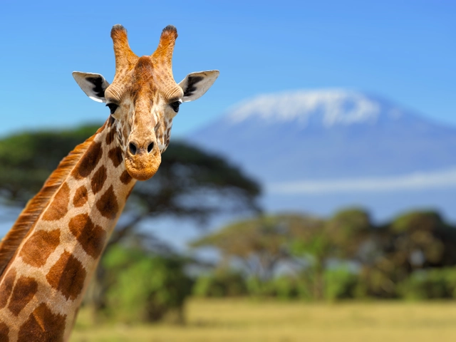 Kenya