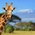 Kenya
