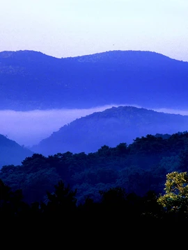 Virginia