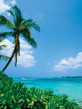 Bahamas