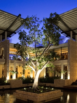 BANYAN TREE MAYAKOBA