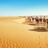 Experience the real Egypt: Modes of Transportation