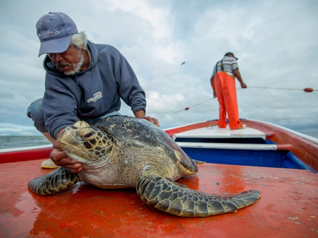 Exploring the National Parks of the Fabulous Baja California Peninsula, Mexico