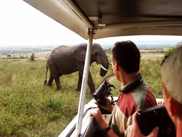 Africa