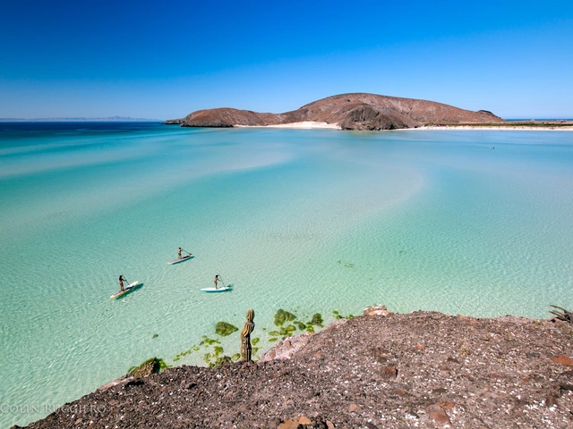 Whales, turtles, paddle boarding, kayaking, food, artists - the Magical Paradise of Todos Santos, Mexico