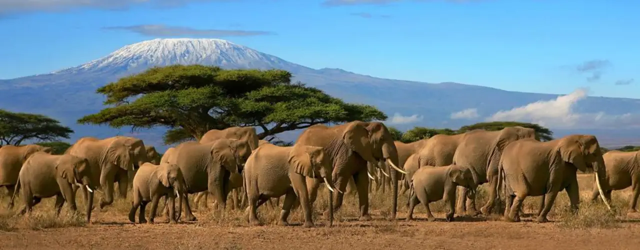Small-Group Adventure Tours to Africa