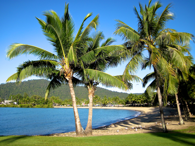 5 Things You Need To Know About Whitsundays