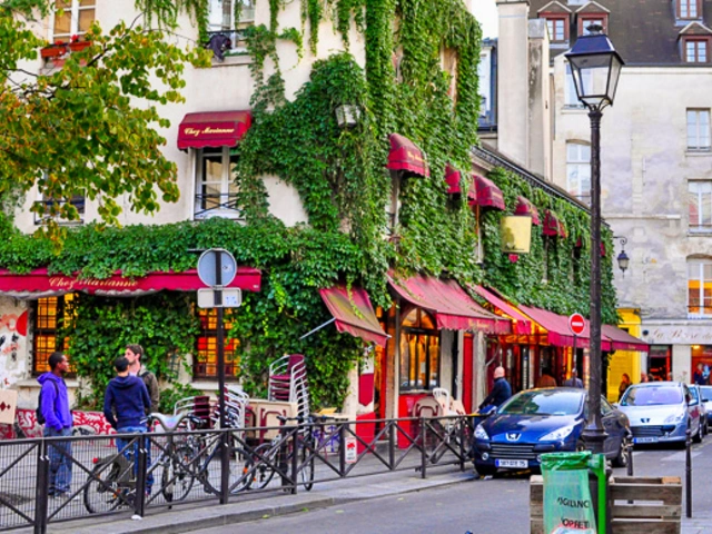 City of Lights