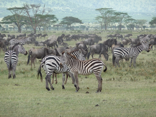 Splendors of South Africa & Victoria Falls