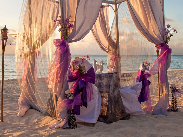 Palladium Hotels & Resorts