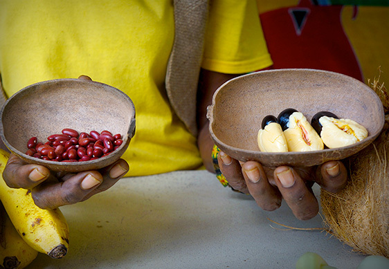 About Rastafari Indigenous Village