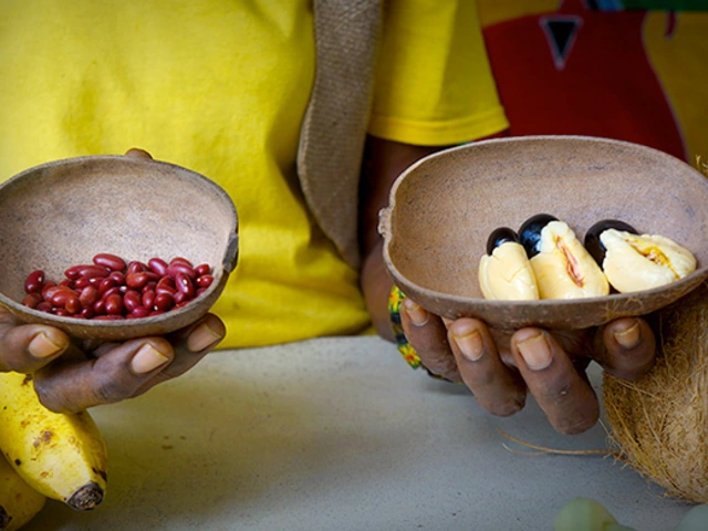 About Rastafari Indigenous Village
