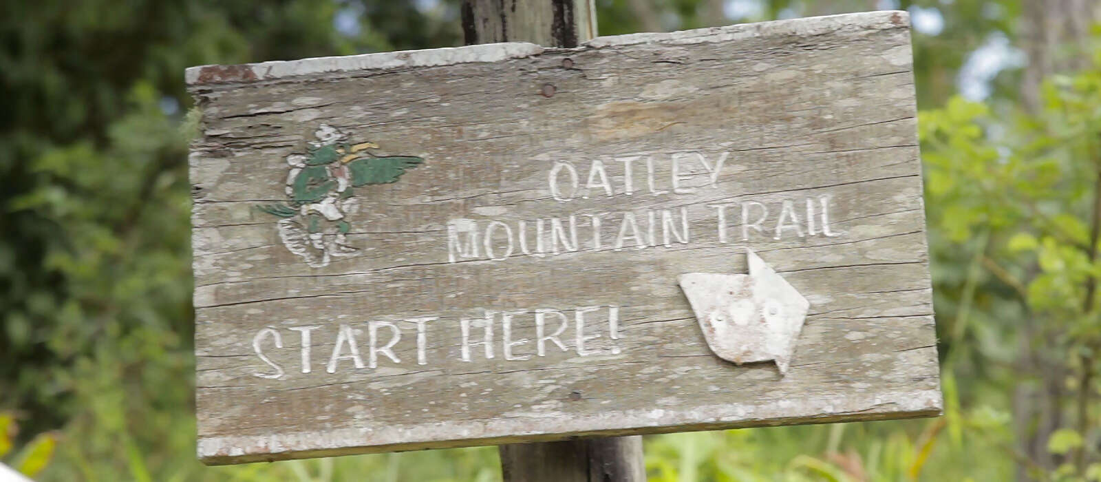 Explore the Holywell Recreation Area