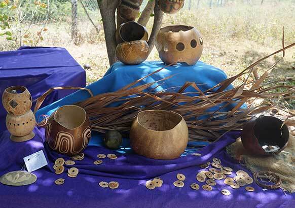 BREDS and the Women's Group