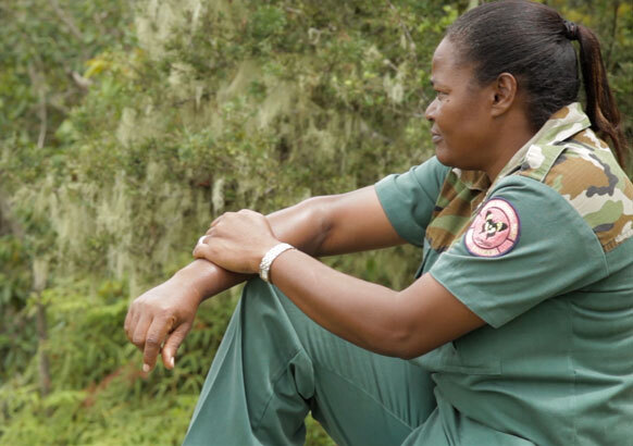 About the John Crow Mountains National Park