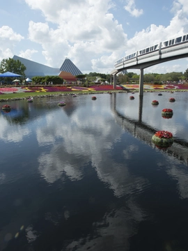 Walt Disney World